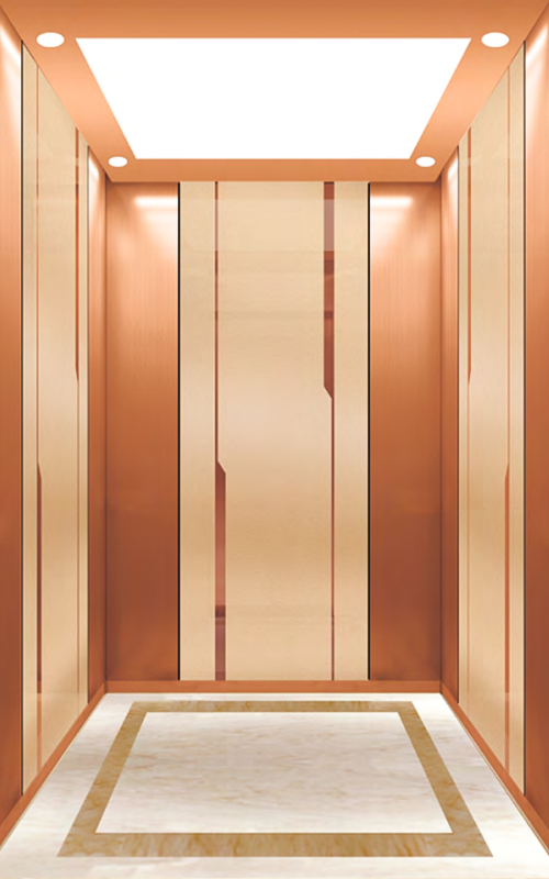 NF-J006 ascensor doméstico ascensores eléctricos pequeño ascensor doméstico ascensor residencial ascensor de pasajeros edificio residencial acensor de pasajeros