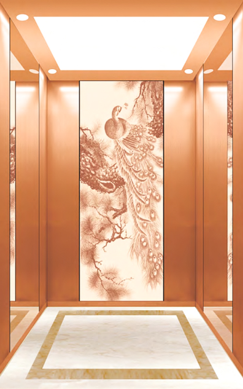 NF-J008 pequeña sala de máquinas ascensor de pasajeros de seguridad estándar duradero y práctico electrodoméstico de alta estabilidad de alta velocidad
