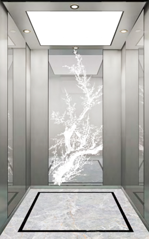 NF-J010 china ascensor moderno ascensor de pasajeros ascensor de pasajeros con la norma europea asequible de alta velocidad de estabilidad.