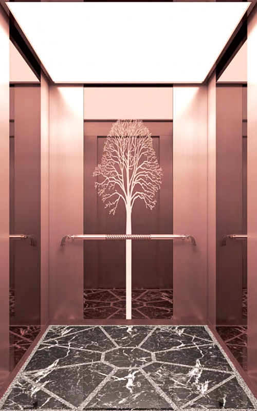 NF-J014 ascensor de alta velocidad estabilidad comercial ascensor de pasajeros ascensor de casa para el centro comercila o edificio de oficinas