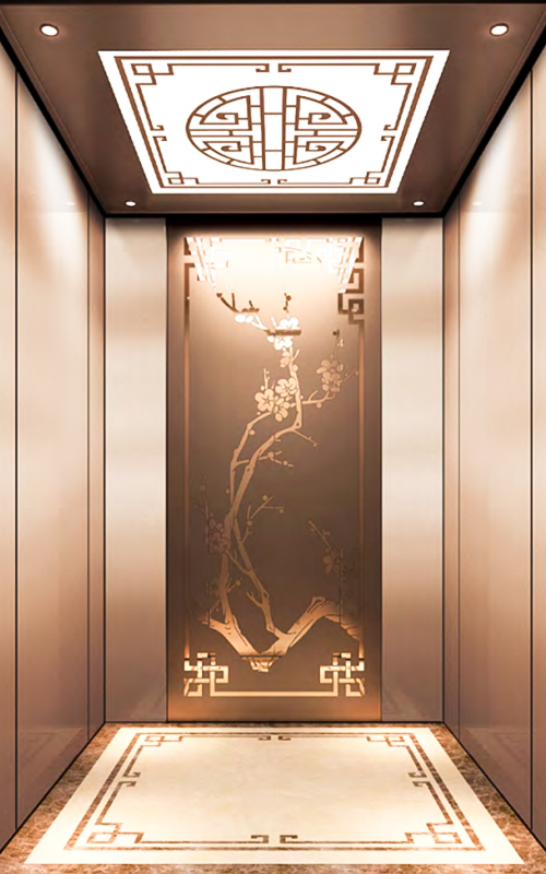 NF-J016 ascensor de alta calidad de 450kg 6 personas ascensor de pasajeros